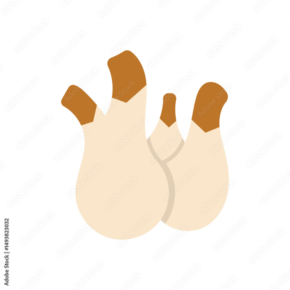 Fototapeta premium Fennel Vector icon