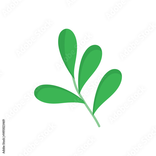 Tarragon Vector icon