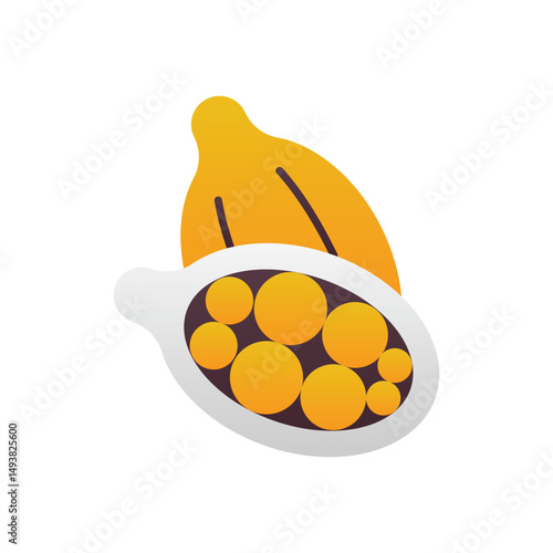 Cardamom Vector icon