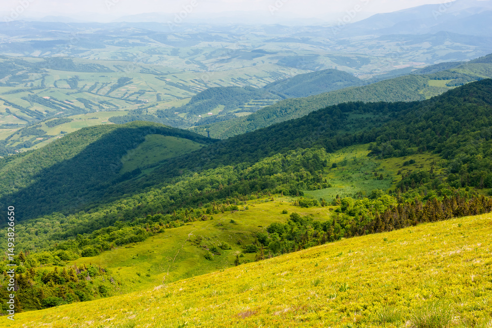 Fototapeta premium beautiful view in to the valley from the mountain top. forested hillside of watershed ridge in dappled light. sunny weather in summer