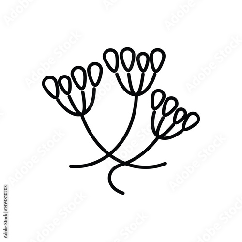 Caraway Vector icon
