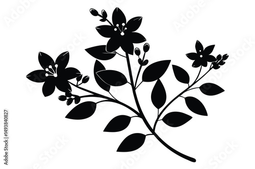 Black Floral Silhouette Blossoms on a Branch with Leaves and Buds Graphic Illustration
