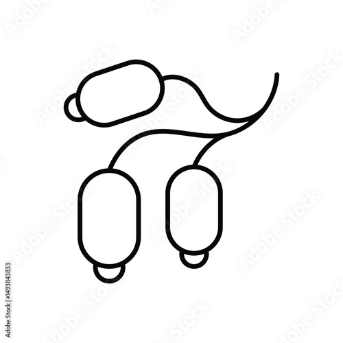Barberry Vector icon