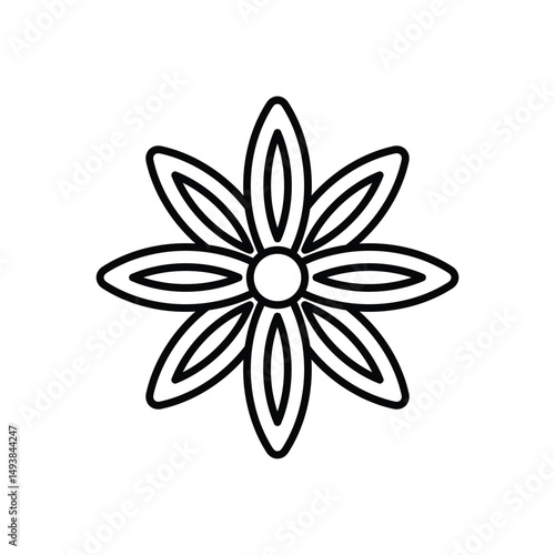 Star Anise Vector icon
