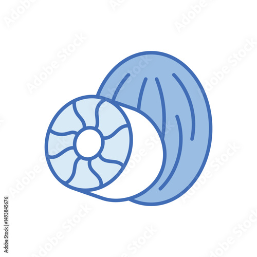 Nutmeg Vector icon