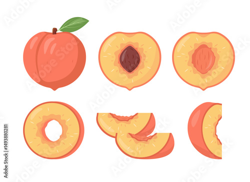 Fresh peach fruits icons. Whole and cut peaches, pieces and slices. Organic fruits for juice, smoothie or vitamin C healthy food. Vector illustration isolated on white background.
