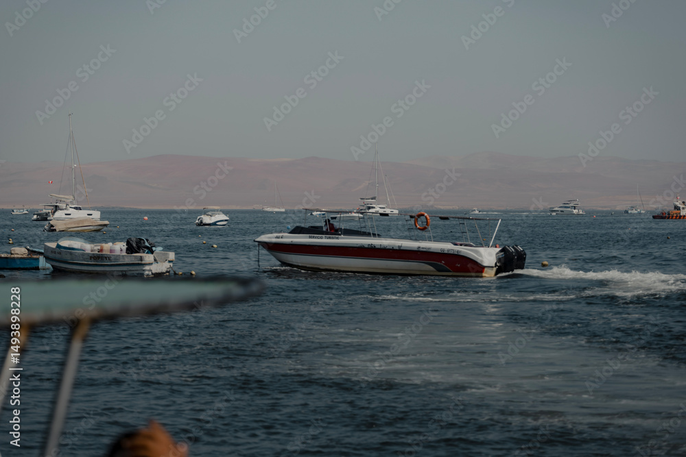 Obraz premium Botes mar