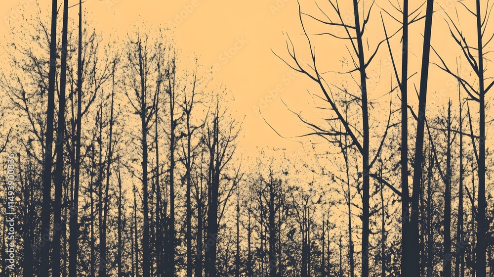 Obraz premium Silhouette of Leafless Trees in Golden Sunset Landscape