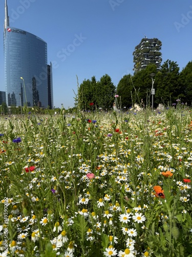 Fototapeta Naklejka Na Ścianę i Meble -  Spring flowers in the city meadow