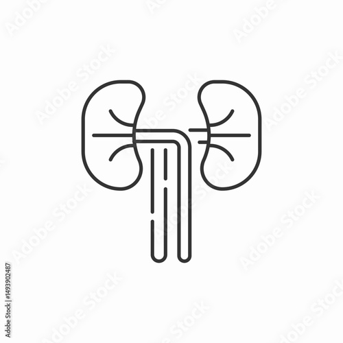 human kidneys illustration icon sign vector