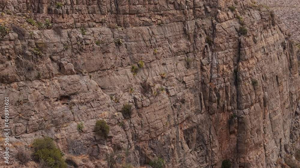 custom made wallpaper toronto digitalMontañas del desierto conplantas de dasylirion para destilar sotol, barrancas de escalada para deporte extremo