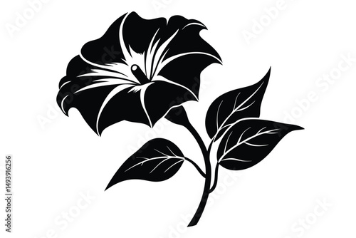 Bold Black and White Datura Flower Illustration with Leaves and Stem Graphic Art