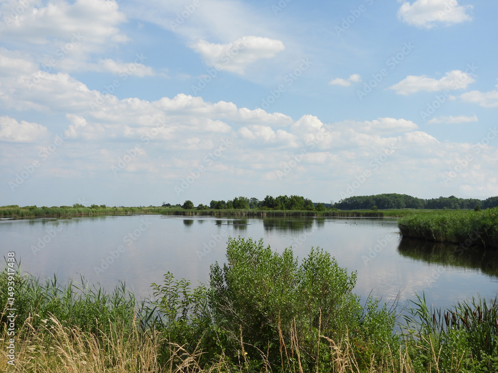 Beautiful scenery of the wetlands within the Bombay Hook National Wildlife Refuge, Kent County, Delaware. Early summer season. Beautiful scenery of the wetlands within the Bombay Hook National Wildlife Refuge, Kent County, Delaware. Early summer season.