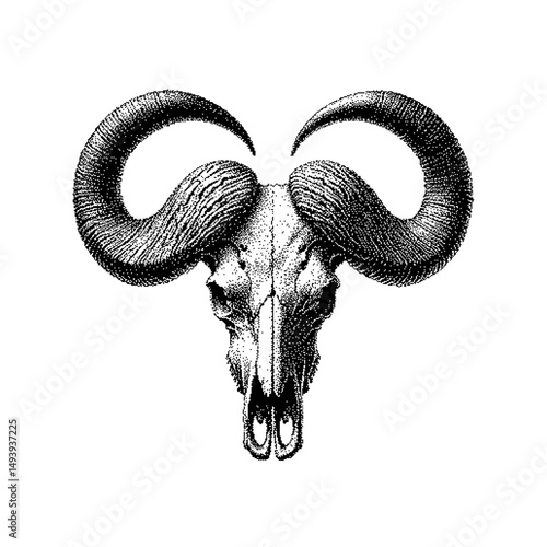 Intricate illustration of a ram skull featuring ornate detailing and textures