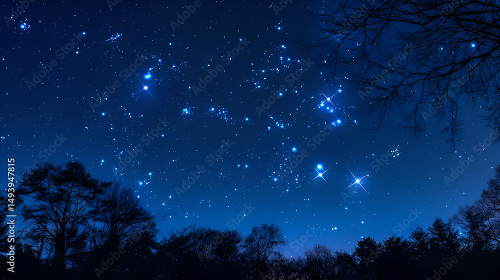 Naklejka premium _Star_constellation