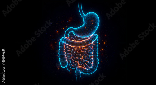 Futuristic digital rendering of child’s digestive system on black background. Concepts: pediatric anatomy, digestive organs, medical technology, child health, neon visualization, healthcare education,