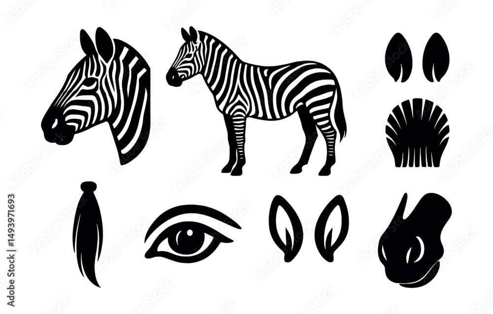 Obraz premium Zebra silhouette icons set. animal pattern and wildlife symbol collection