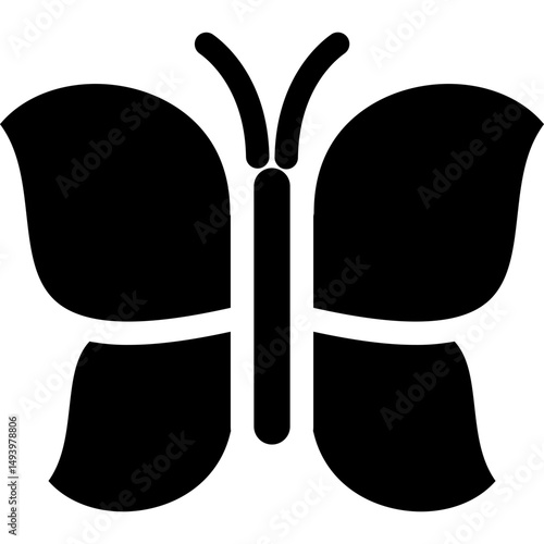 Butterfly Icon