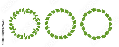Green Leaves Round Frames with copy space. Vector ecological labels. Natural Wreath isolated on white background for labels, tag, packaging of farm eco-friendly products. Fresh Leaves Circle borders.