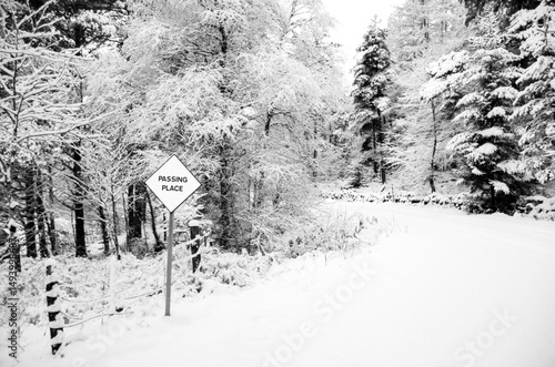 Passing Place Sign on Snowy Winter Single TrackRoad in Forest
