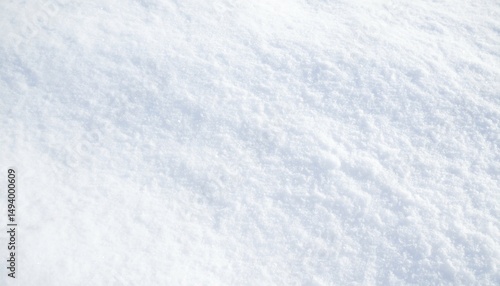 Undisturbed Blanket of Fresh Crisp White Snow