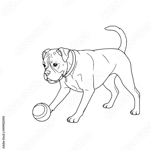 Boxer playing with a ball Simple Vector Outline in minimalistic black and white design