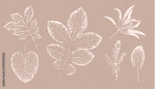 Pink tan and brown floral prints of botanical illustration. Decorative set of flowers and leaves pressed or stamped.