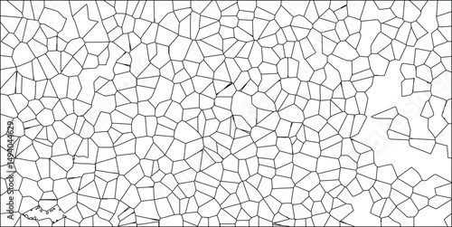 Abstract cellular pattern in black lines on white background forming irregular geometric shapes for design and digital art