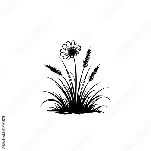 Silhouette meadow flora, daisy and wheat stalks in simplistic vector drawing