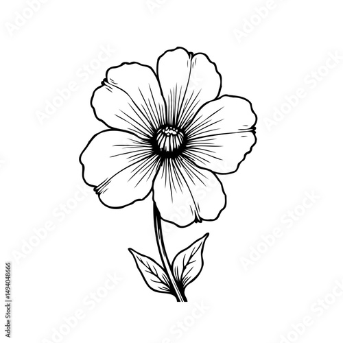 Elegant botanical illustration: A delicately drawn flower with striking simplicity