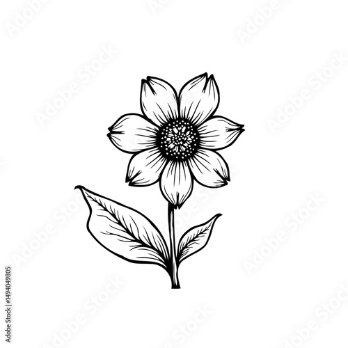 Delicate botanical illustration of a detailed flower with elegant leaves