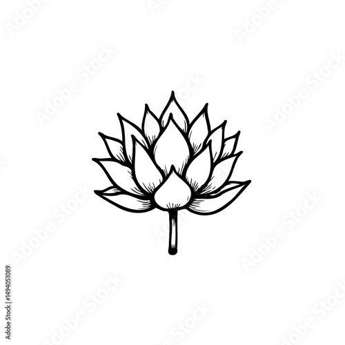Elegant monochrome lotus flower illustration conveying purity and serenity