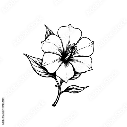 Elegant monochrome botanical illustration of a stylized hibiscus flower art