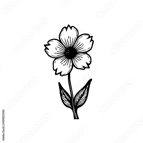Elegant hand-drawn flower illustration showcases artistic simplicity and charm