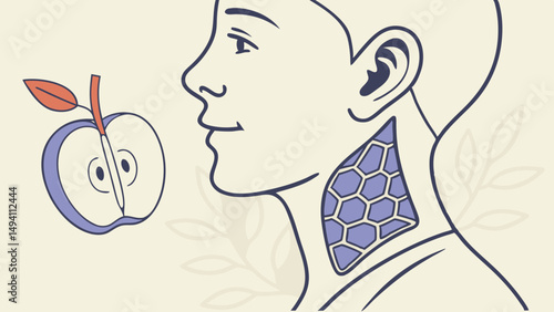 Comprehensive Thyroid Anatomy and Function Illustration