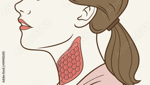 Human Neck Lymph Nodes Anatomy Illustration