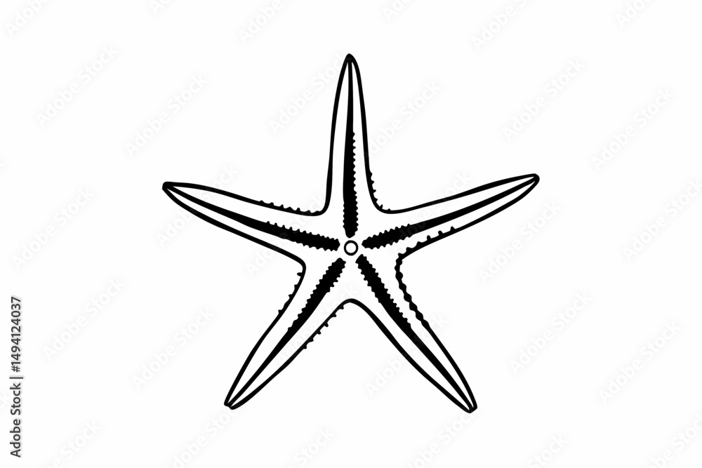 Fototapeta premium starfish silhouette vector
