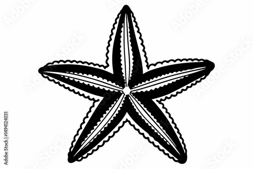 starfish  silhouette vector