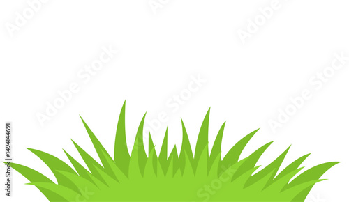 green grass isolated on white background