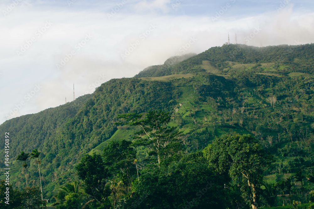 Obraz premium Majestic Landscapes of Sri Lanka. Breathtaking Beauty Capturing the Serene Essence of Nature in Stunning Landscapes. A Journey Through Picturesque Nature Landscapes. The beauty of Nature’s Landscape