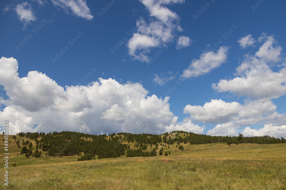 Fototapeta premium Custer State Park, South Dakota 