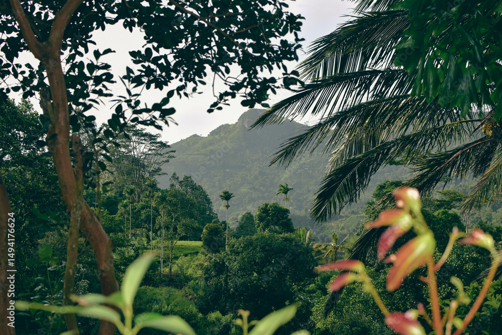 Fototapeta premium Lush Green Mountain Range Covered with Dense Forest Trees and Native Plants in Natural Landscape. Scenic View of Verdant Mountain Hills with Evergreen Trees and Nature-Loving Flora. Sinharaja Forest