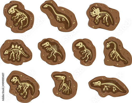 Layer of earth with fossil bones. Archaeological excavations of dinosaur fossils. Studies of ancient animals.