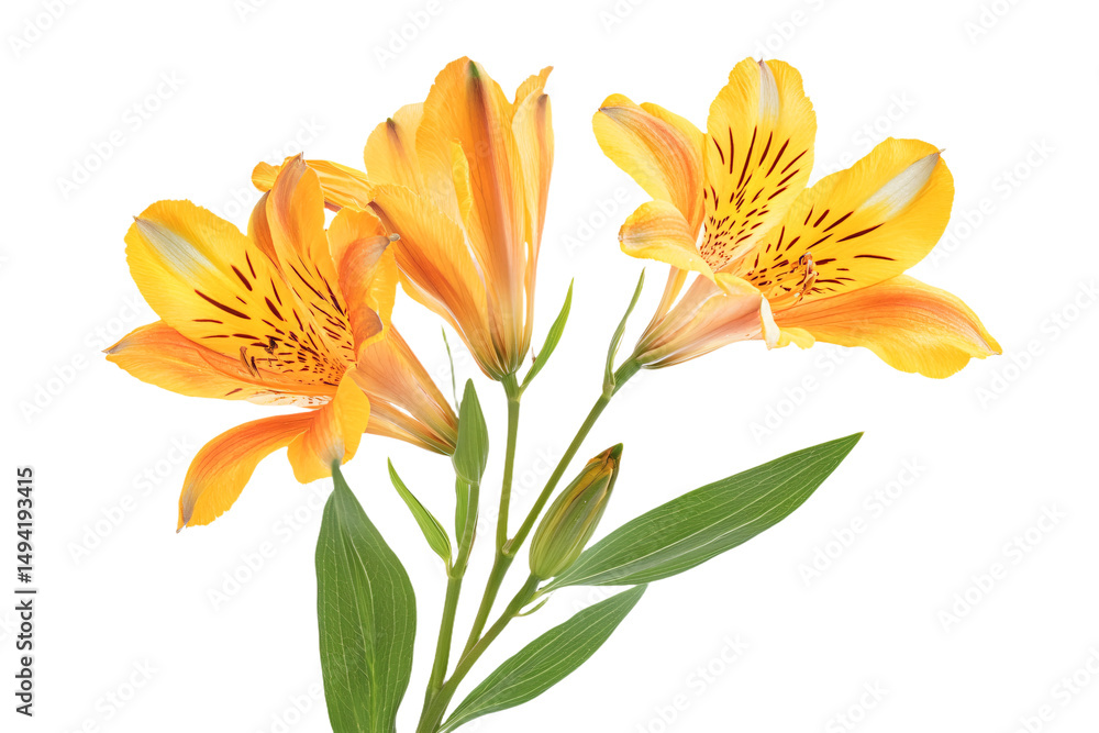 Naklejka premium a close up of a flower with leaves