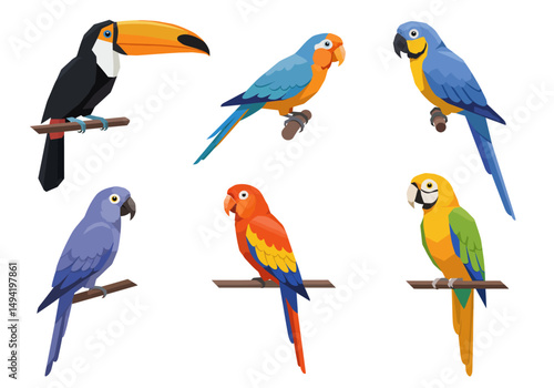 Vibrant Collection of Tropical Birds Toucan and Parrots