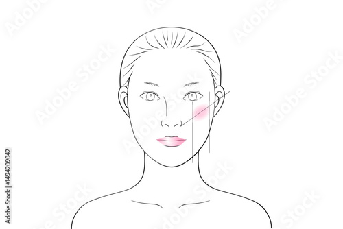 基本のチークをした女性｜メイク練習・シミュレーション用線画イラスト素材
