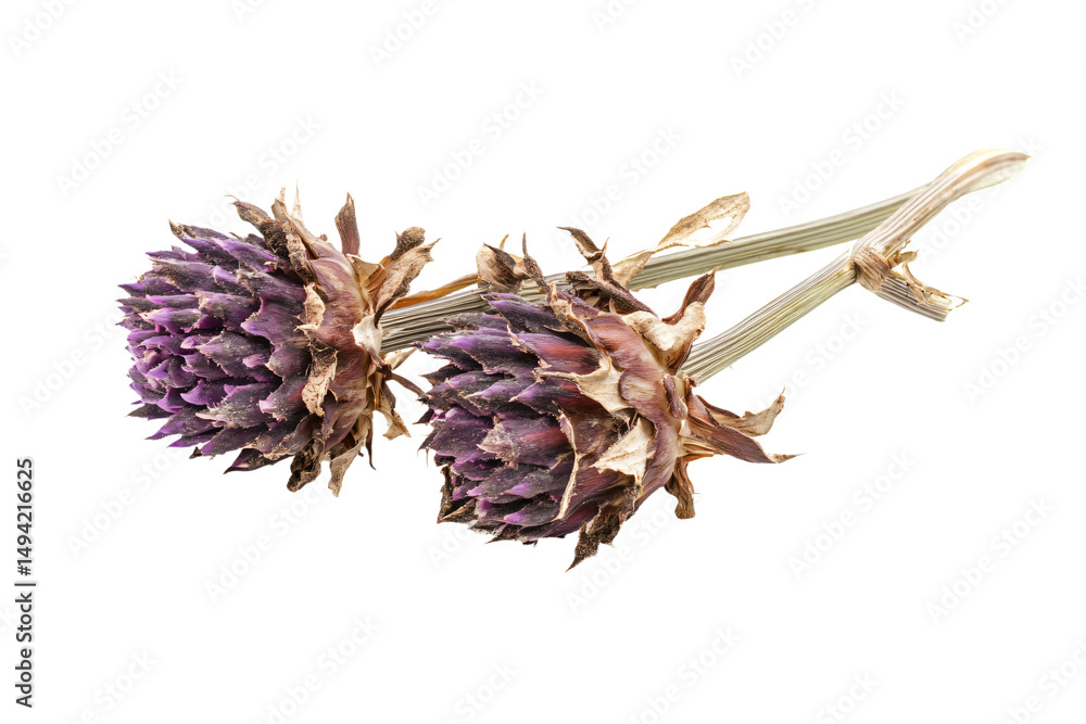 Obraz premium a couple of purple flowers sitting on top of a stem