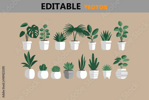 Collection of houseplants in white pots minimalist vector illustration