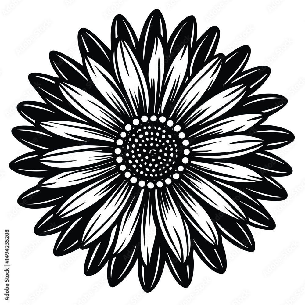 Fototapeta premium Adobe Illustrator Vector daisy chamomile isolated on white backgroundrtwork