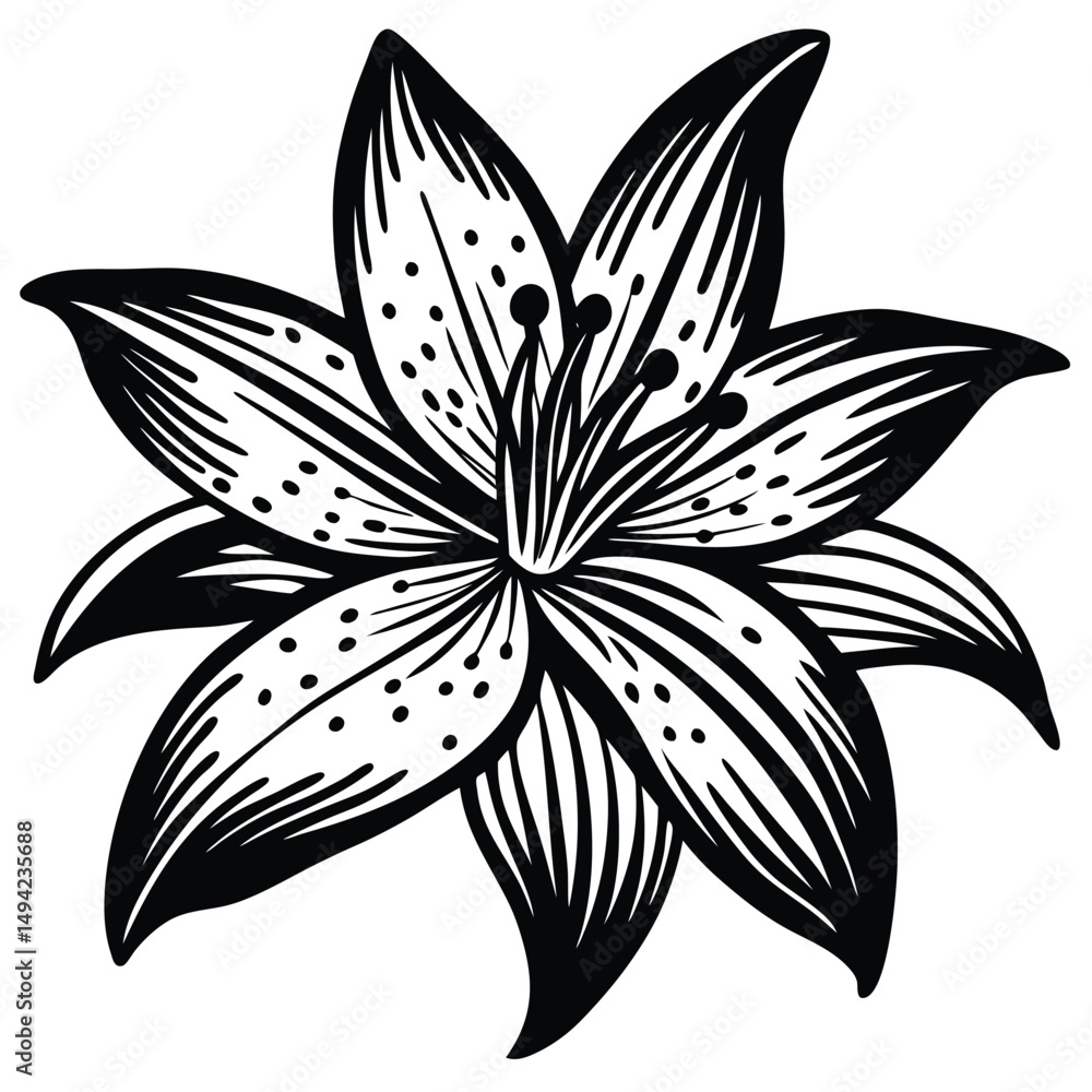 Obraz premium Adobe Illustrator ATrout Lily Flower Continuous Line Drawing with Varying Width Editable Strokertwork